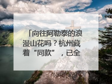 向往阿勒泰的浪漫山花吗？杭州藏着“同款”，已全面进入盛花期