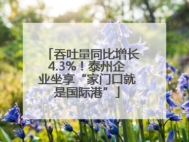 吞吐量同比增长4.3%！泰州企业坐享“家门口就是国际港”