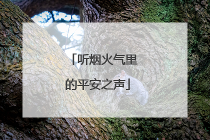 听烟火气里的平安之声