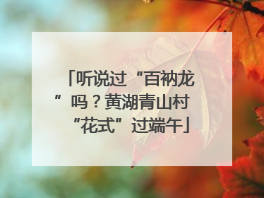 听说过“百衲龙”吗？黄湖青山村“花式”过端午