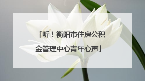 听！衡阳市住房公积金管理中心青年心声