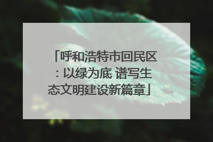 呼和浩特市回民区：以绿为底 谱写生态文明建设新篇章