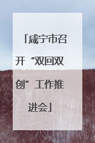 咸宁市召开“双回双创”工作推进会