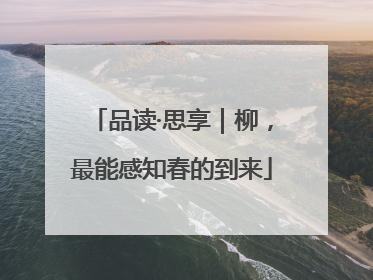 品读·思享｜柳，最能感知春的到来