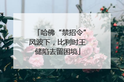 哈佛“禁招令”风波下，比利时王储陷去留困境