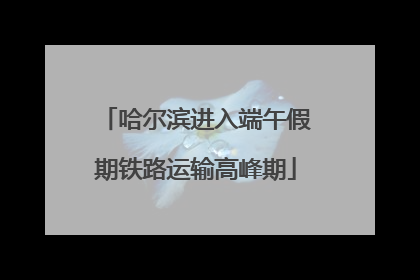 哈尔滨进入端午假期铁路运输高峰期
