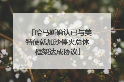 哈马斯确认已与美特使就加沙停火总体框架达成协议