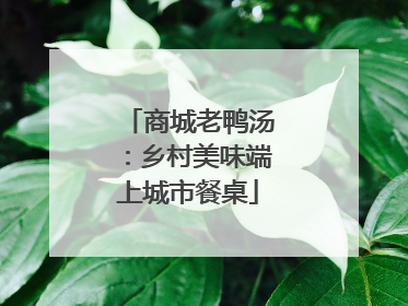 商城老鸭汤：乡村美味端上城市餐桌