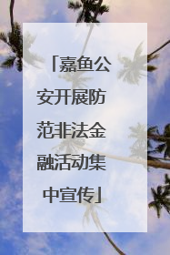 嘉鱼公安开展防范非法金融活动集中宣传