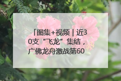 图集+视频｜近30支“飞龙”集结，广佛龙舟激战第60届荔湾“沙溪景”