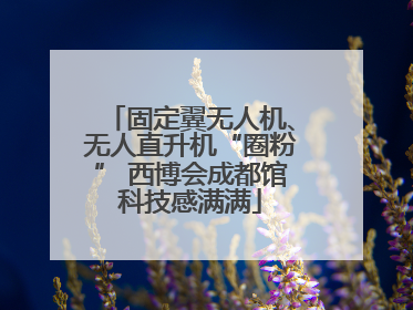 固定翼无人机、无人直升机“圈粉” 西博会成都馆科技感满满