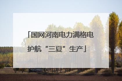 国网河南电力满格电护航“三夏”生产