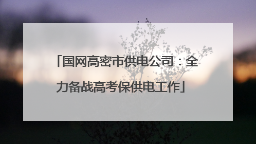 国网高密市供电公司：全力备战高考保供电工作