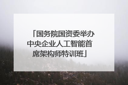 国务院国资委举办中央企业人工智能首席架构师特训班
