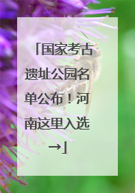 国家考古遗址公园名单公布！河南这里入选→