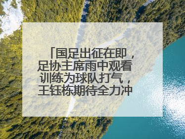 国足出征在即，足协主席雨中观看训练为球队打气，王钰栋期待全力冲击印尼队