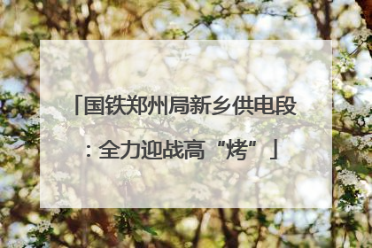 国铁郑州局新乡供电段：全力迎战高“烤”