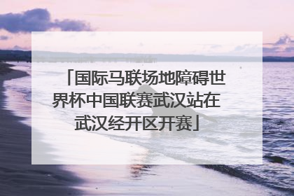 国际马联场地障碍世界杯中国联赛武汉站在武汉经开区开赛