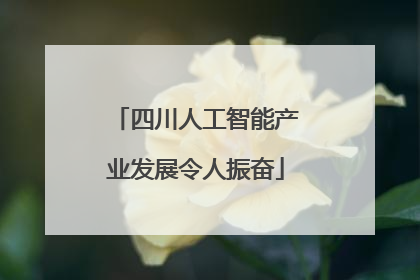 四川人工智能产业发展令人振奋