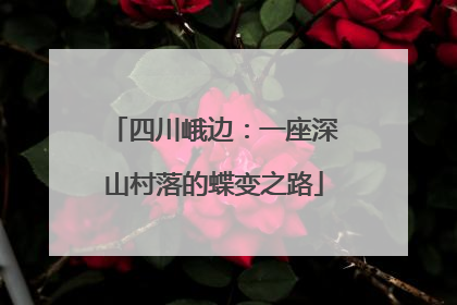 四川峨边：一座深山村落的蝶变之路