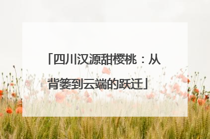 四川汉源甜樱桃：从背篓到云端的跃迁