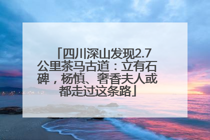 四川深山发现2.7公里茶马古道：立有石碑，杨慎、奢香夫人或都走过这条路