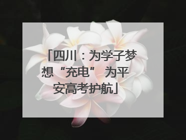 四川：为学子梦想“充电” 为平安高考护航