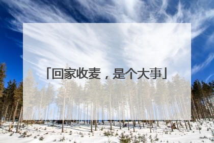 回家收麦，是个大事