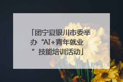 团宁夏银川市委举办“AI+青年就业”技能培训活动