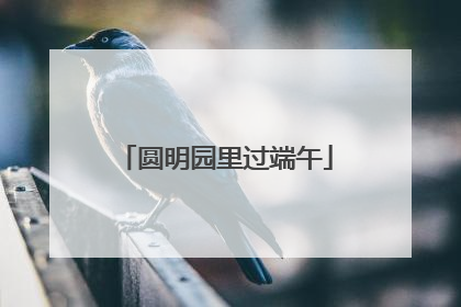 圆明园里过端午