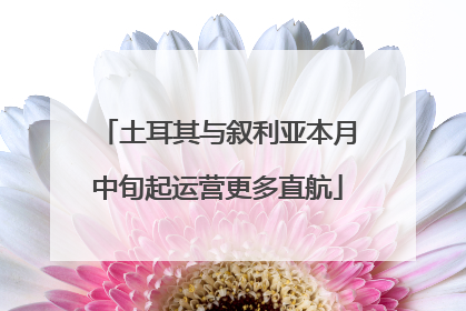 土耳其与叙利亚本月中旬起运营更多直航