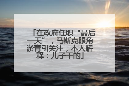 在政府任职“最后一天”，马斯克眼角淤青引关注，本人解释：儿子干的