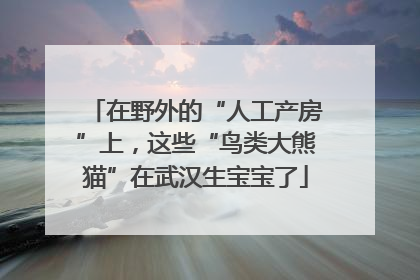 在野外的“人工产房”上，这些“鸟类大熊猫”在武汉生宝宝了