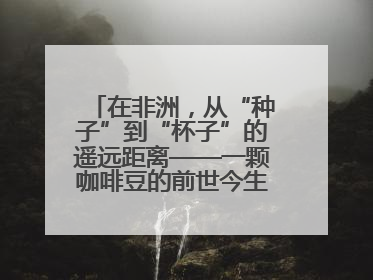 在非洲，从“种子”到“杯子”的遥远距离——一颗咖啡豆的前世今生（三）