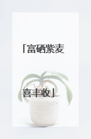 富硒紫麦喜丰收