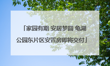 家园有期 安居梦圆 龟湖公园东片区安置房即将交付