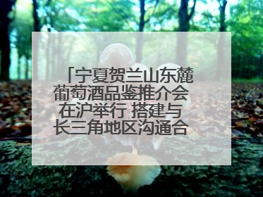 宁夏贺兰山东麓葡萄酒品鉴推介会在沪举行 搭建与长三角地区沟通合作的桥梁