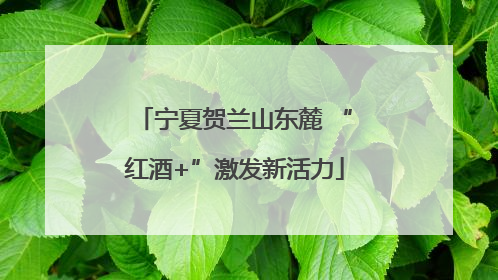 宁夏贺兰山东麓 “红酒+”激发新活力