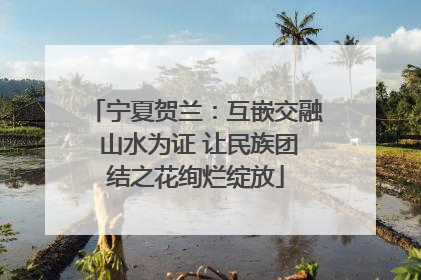 宁夏贺兰：互嵌交融 山水为证 让民族团结之花绚烂绽放