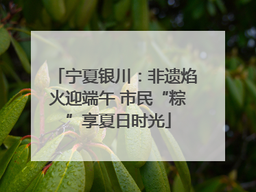 宁夏银川：非遗焰火迎端午 市民“粽”享夏日时光