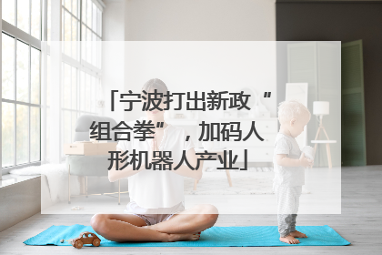 宁波打出新政“组合拳”，加码人形机器人产业