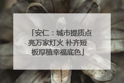安仁：城市提质点亮万家灯火 补齐短板厚植幸福底色
