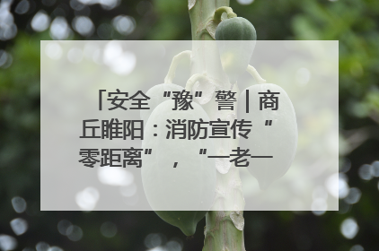 安全“豫”警｜商丘睢阳：消防宣传“零距离”，“一老一小”同守护