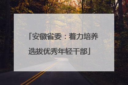 安徽省委：着力培养选拔优秀年轻干部