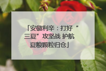 安徽利辛：打好“三夏”攻坚战 护航夏粮颗粒归仓