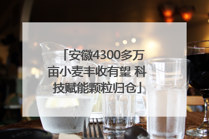 安徽4300多万亩小麦丰收有望 科技赋能颗粒归仓