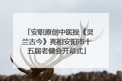 安职原创中医操《灵兰古今》亮相安阳市十五届老健会开幕式