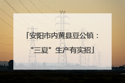安阳市内黄县豆公镇：“三夏”生产有实招