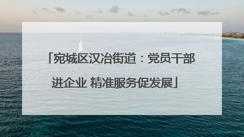 宛城区汉冶街道：党员干部进企业 精准服务促发展