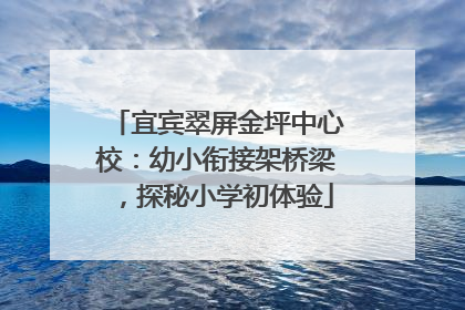 宜宾翠屏金坪中心校：幼小衔接架桥梁，探秘小学初体验